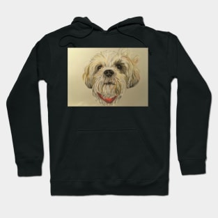 Lhasa Apso Hoodie